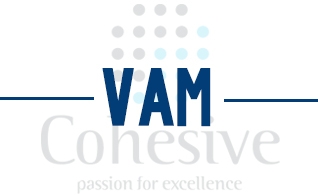 瓦斯处理技术（VAM）